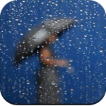 Logo of Rain Wallpaper 4K android Application 