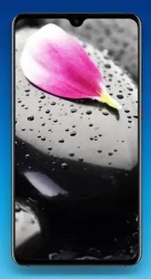 Rain Wallpaper 4K android App screenshot 4