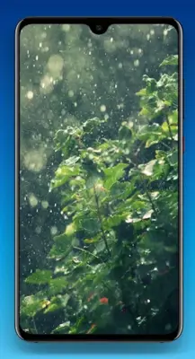 Rain Wallpaper 4K android App screenshot 8